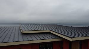 Best Rubber Roofing (EPDM, TPO)  in Toccoa, GA